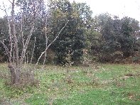 Monte_Fior_di_Cosimo - 20101205 106.jpg